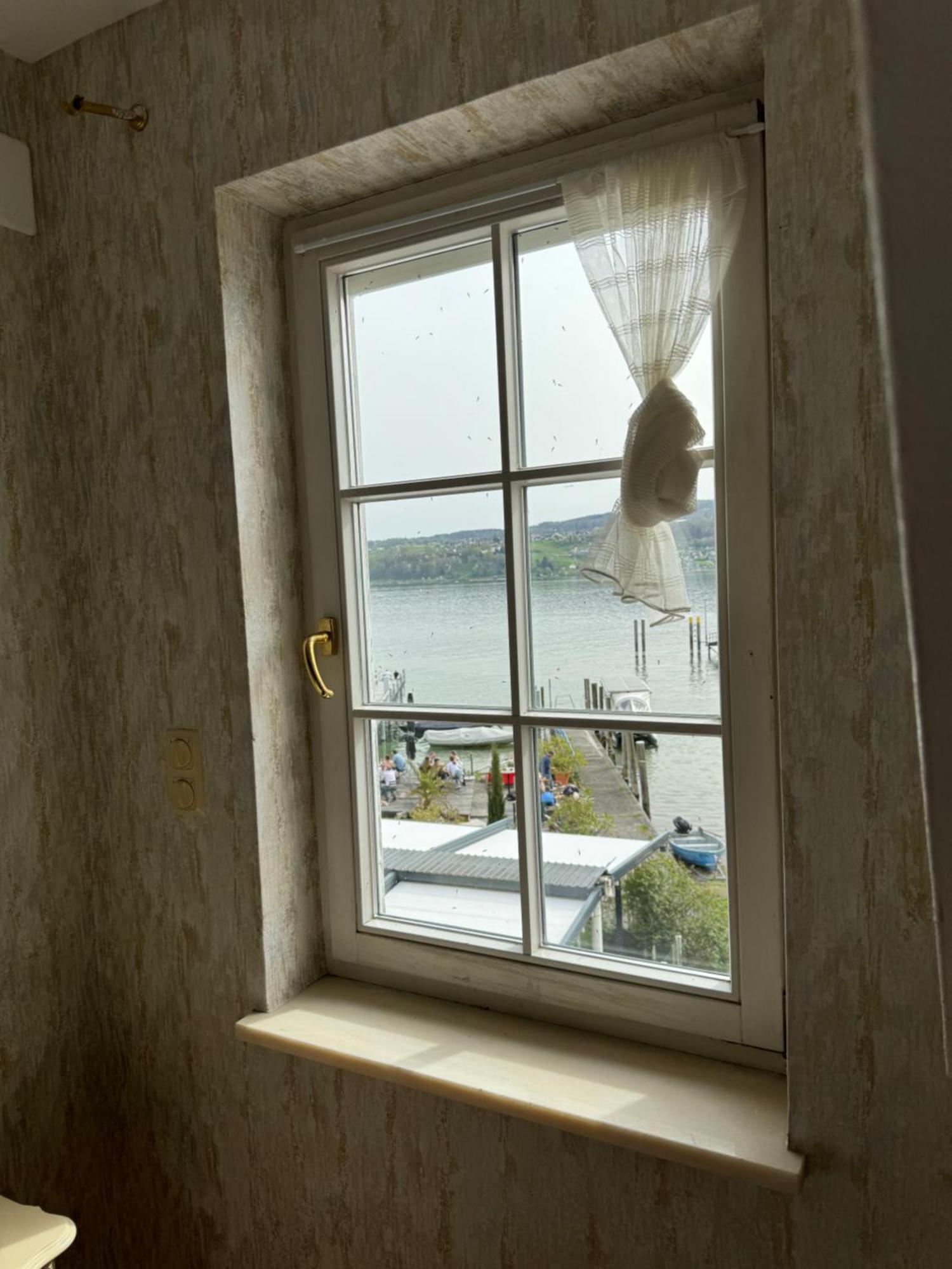 See-Hotel Seeschau - Direkt Am Bodenseeufer ريشِناو المظهر الخارجي الصورة