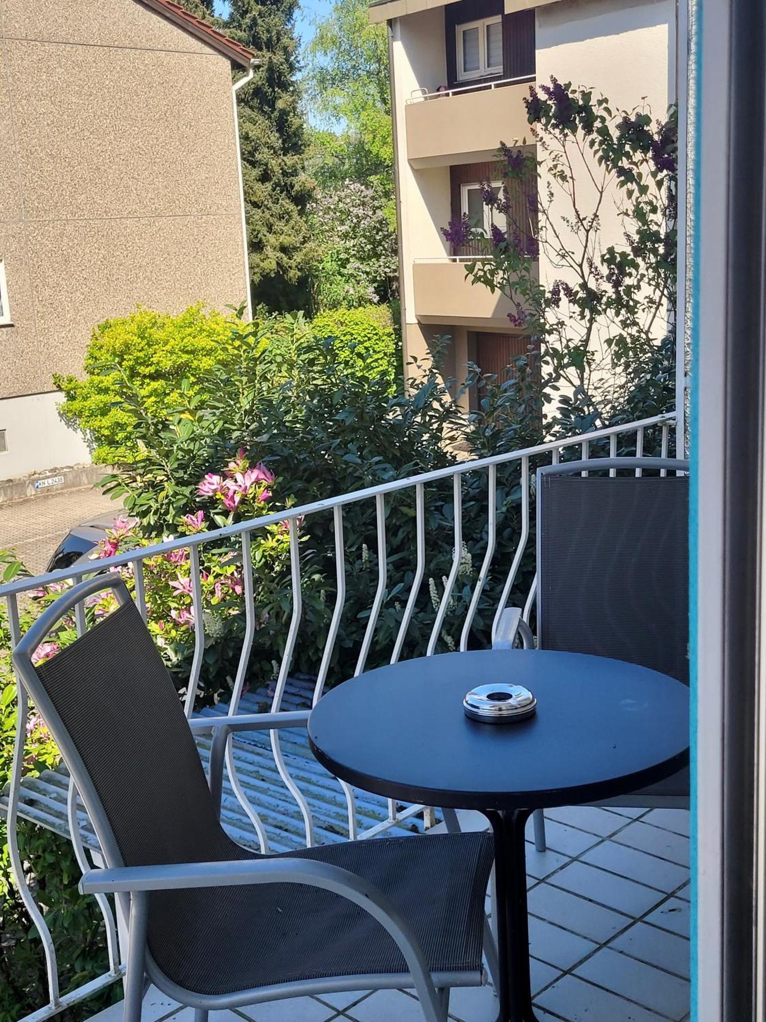 See-Hotel Seeschau - Direkt Am Bodenseeufer ريشِناو المظهر الخارجي الصورة